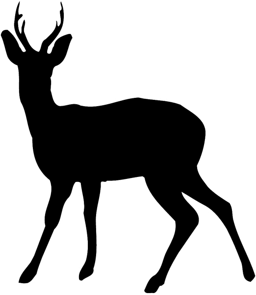 Small deer with antlers silhouette vinyl sticker. Customize on line. Hunting 054-0146